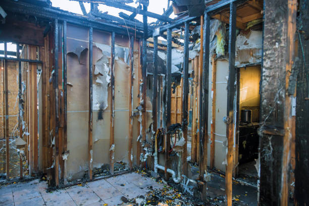 Professional Fire Damage Removal technician working in Independence, KY